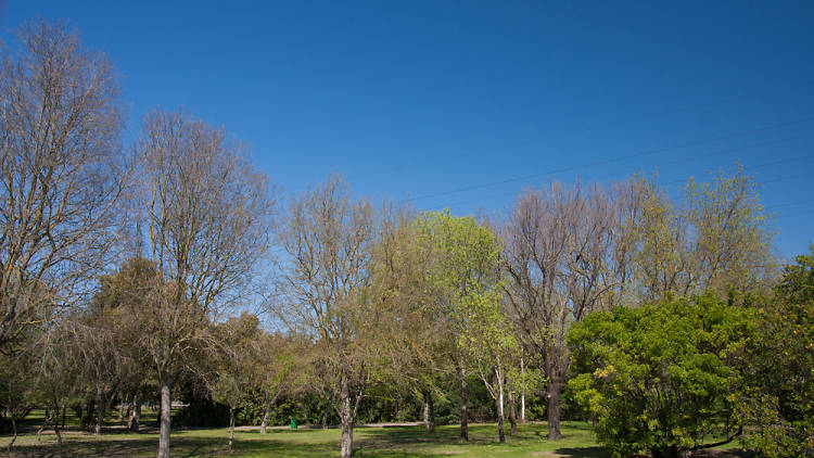 Parque del Alamillo