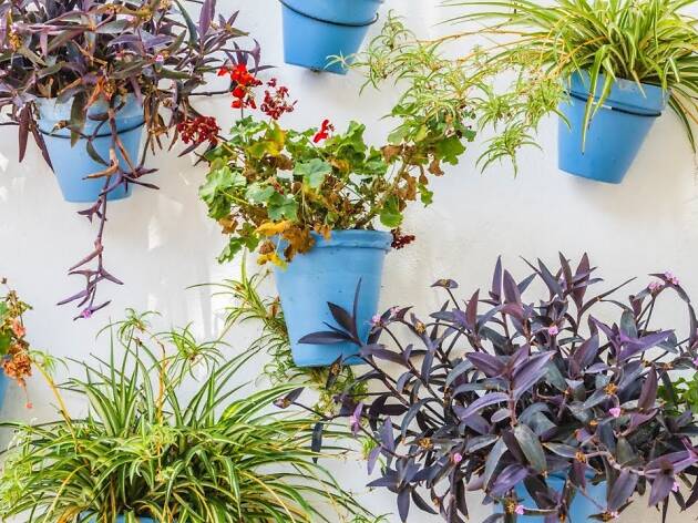 jardins verticais jardinagem