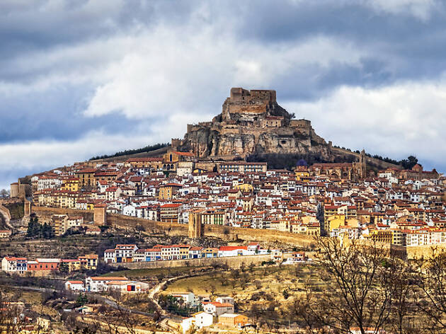 Morella Morella