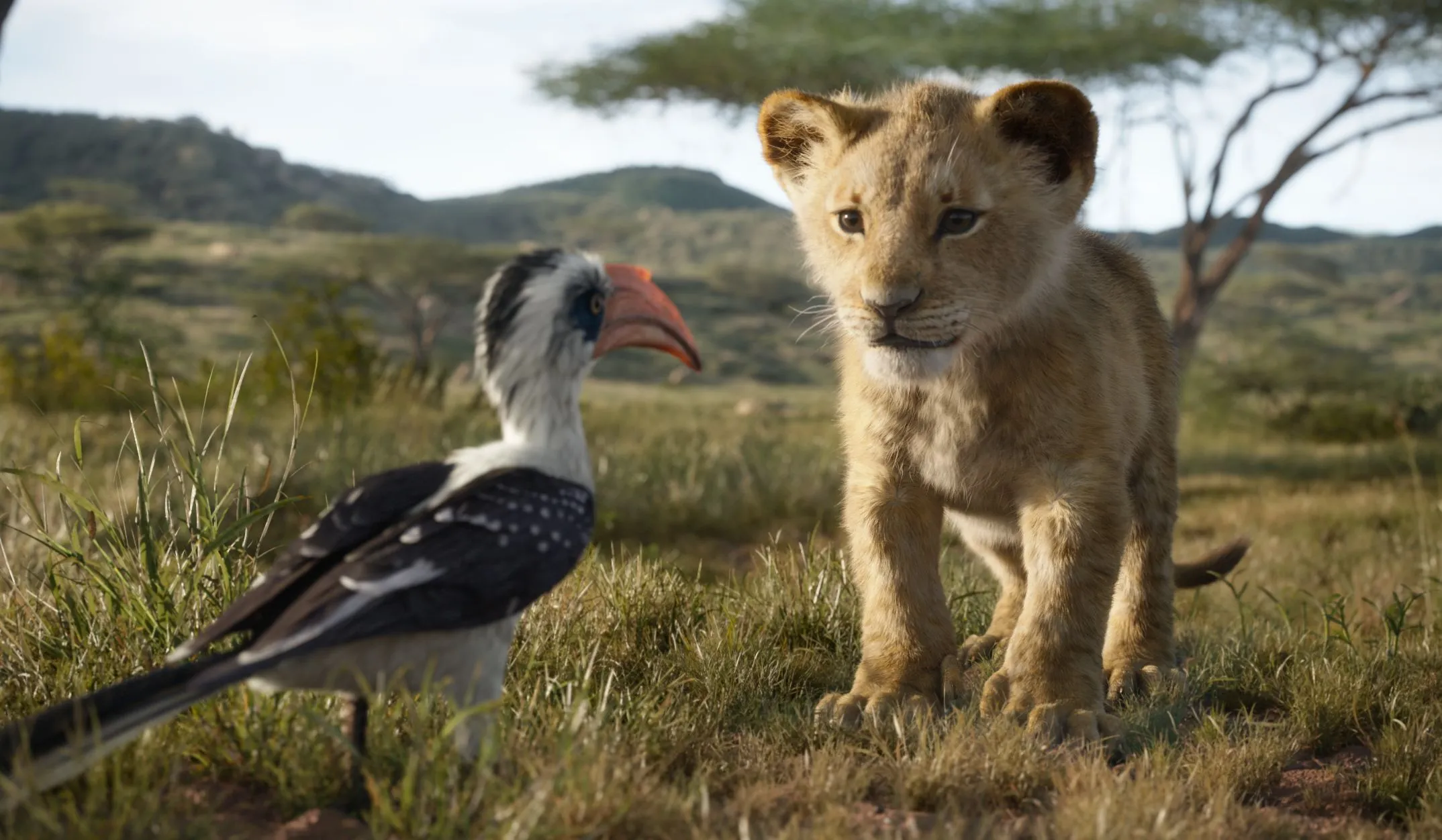 El rey león