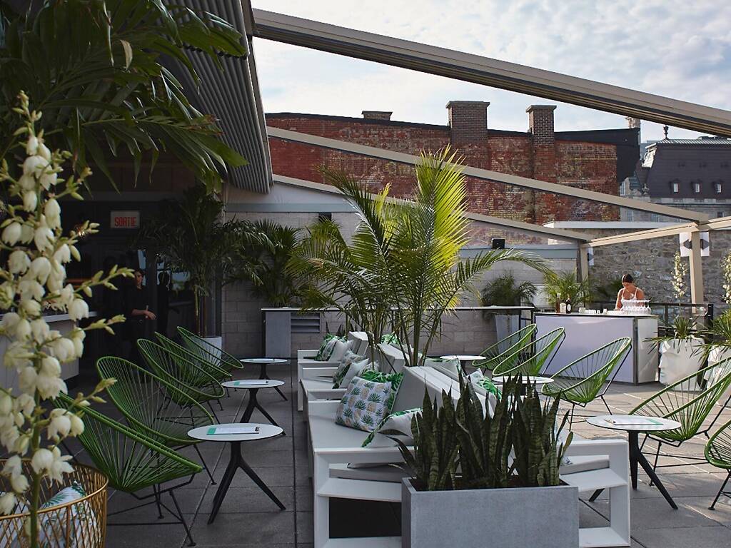 20 Best Rooftop Bars in Montreal for Drinks High Above the City