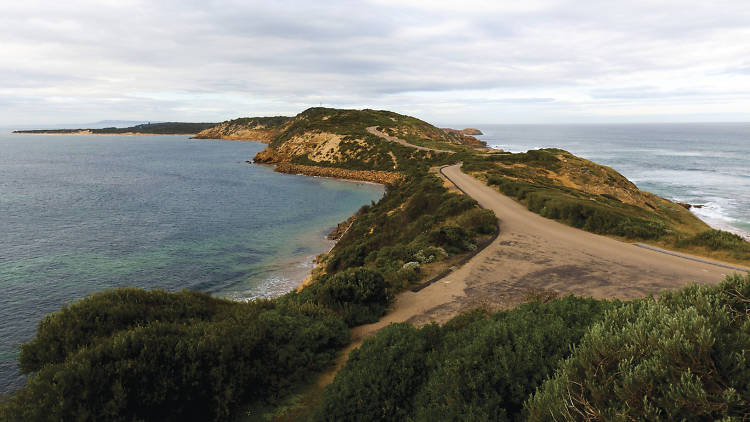 Point Nepean National Park