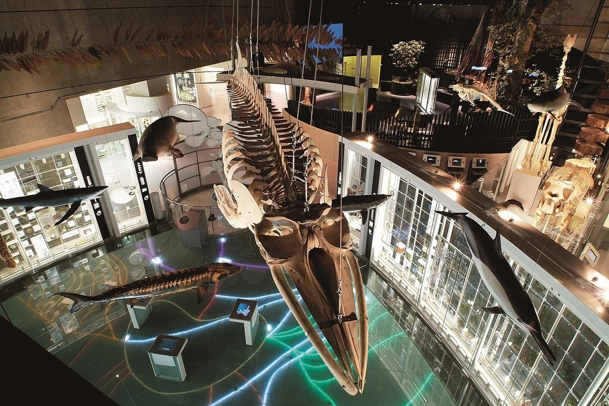 National Museum of Nature and Science 