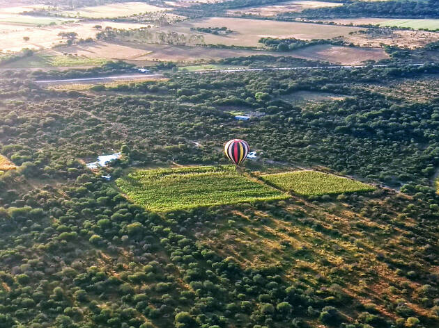 Jerez, Zacatecas Vuelo en globo en Jerez, Zacatecas