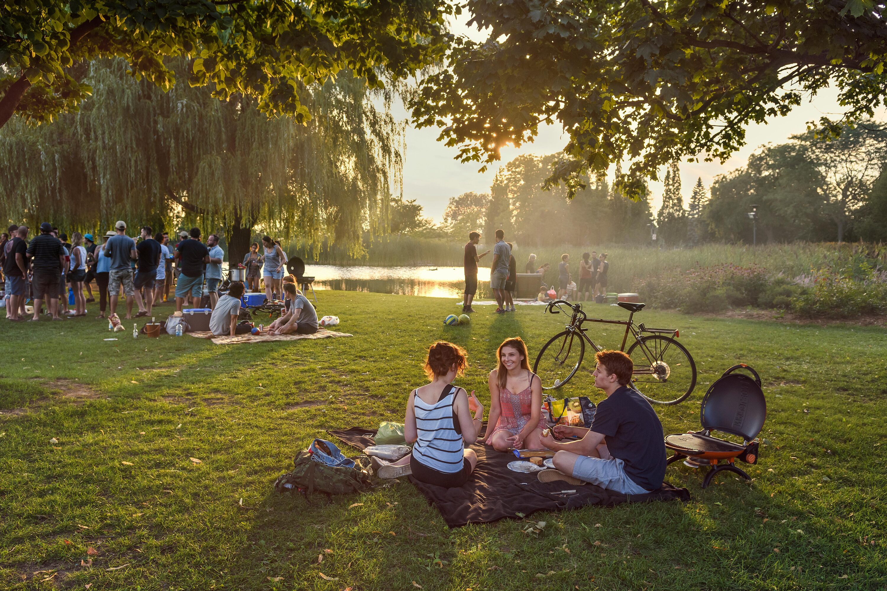 Les 15 Meilleurs Parcs De Montreal Ou Explorer Toute L Annee