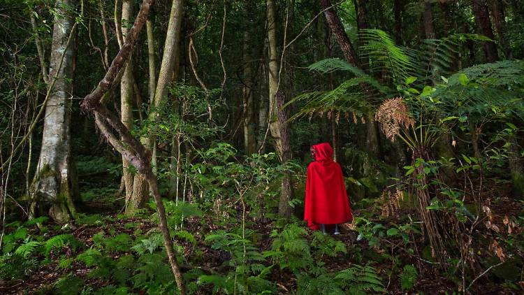 Damian Castaldi & Solange Kershaw, ‘Into the Woods Red Mountain Hood’