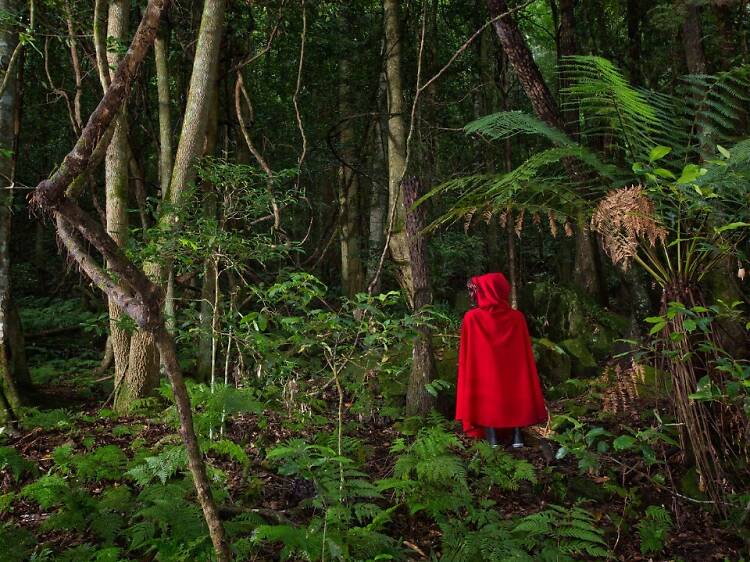 Damian Castaldi & Solange Kershaw, ‘Into the Woods Red Mountain Hood’