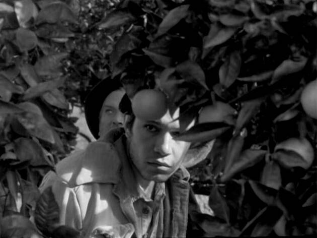 Uma Abelha na Chuva (1972) Uma Abelha na Chuva (1972)