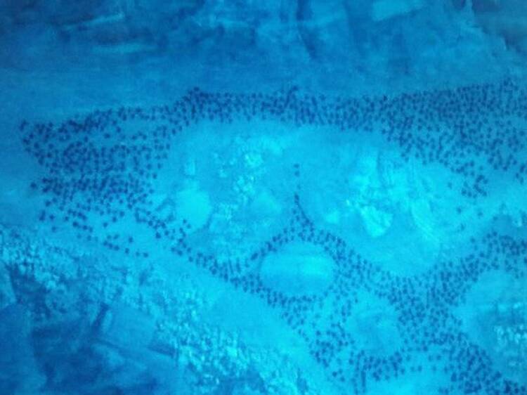 The Night King is backed by an army of undead Starks