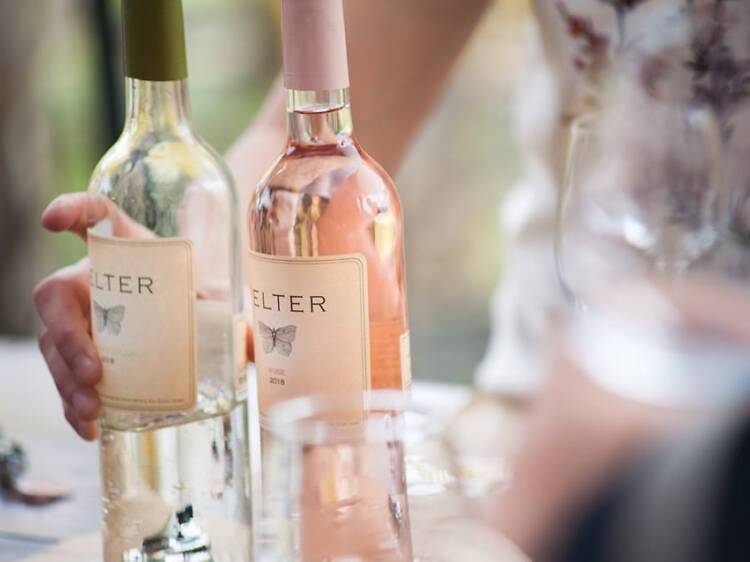 Rose, Pelter Winery 