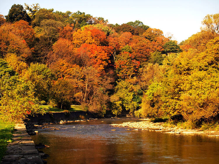 Humber River