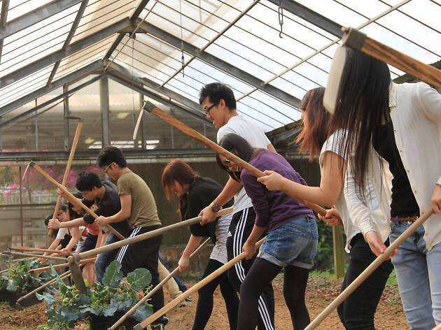 HKFYG Organic Farm HKFYG Organic Farm