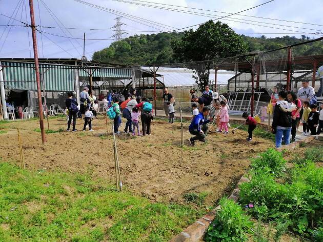 HKFYG Organic Farm HKFYG Organic Farm
