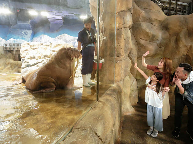 Ocean Park Animal Discovery Fest 2019 Ocean Park Animal Discovery Fest 2019