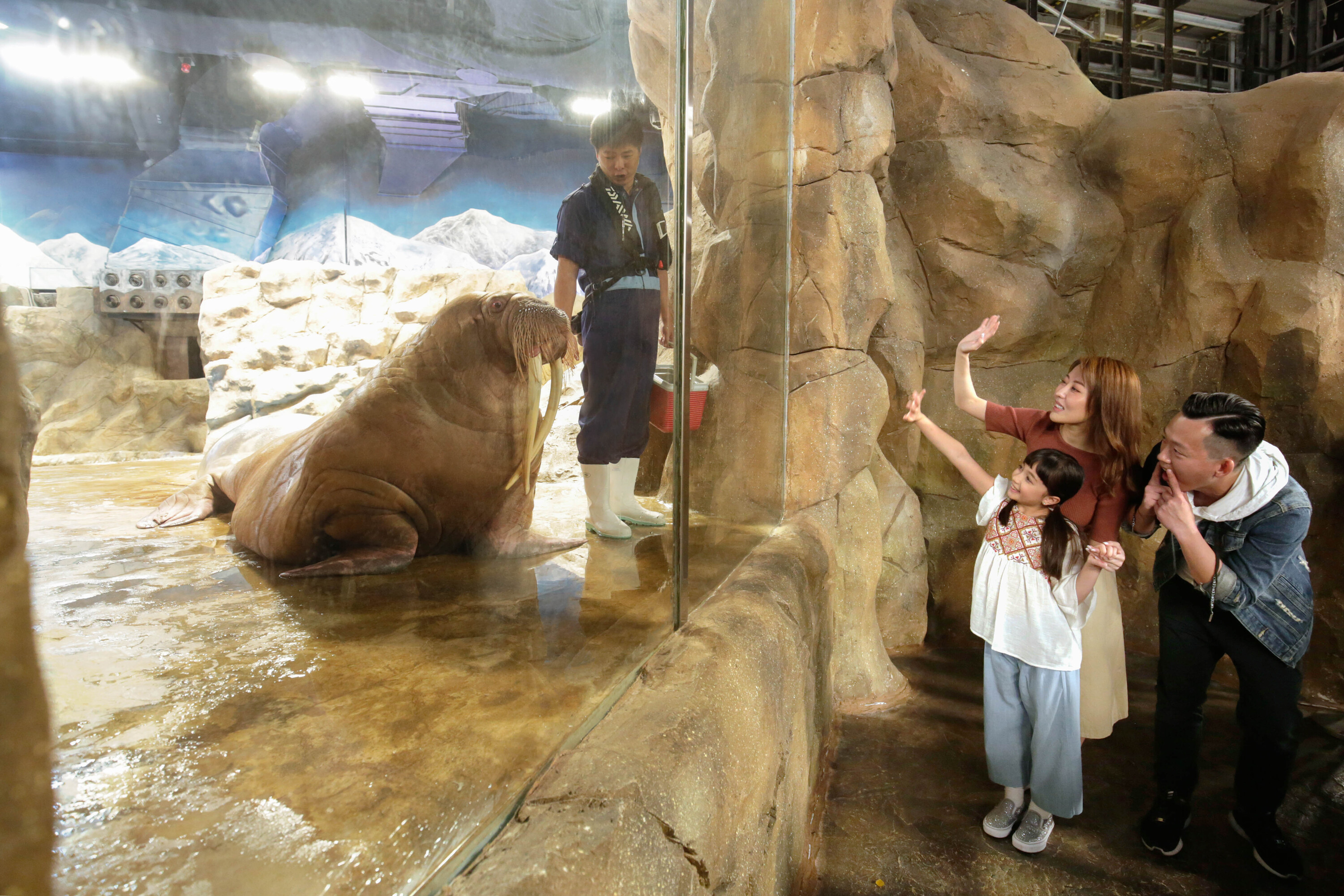 Ocean Park Animal Discovery Fest 2019 Things to do in Hong Kong