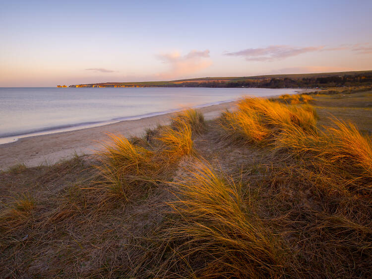 Studland Bay, Dorset