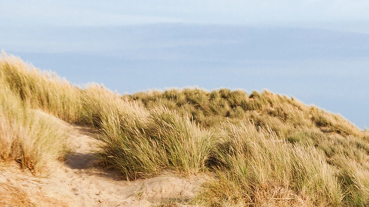 Camber Sands, Sussex Camber Sands, Sussex