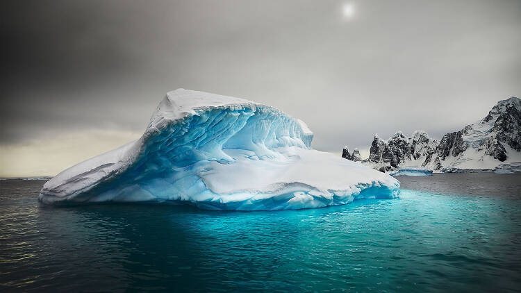 iceberg 