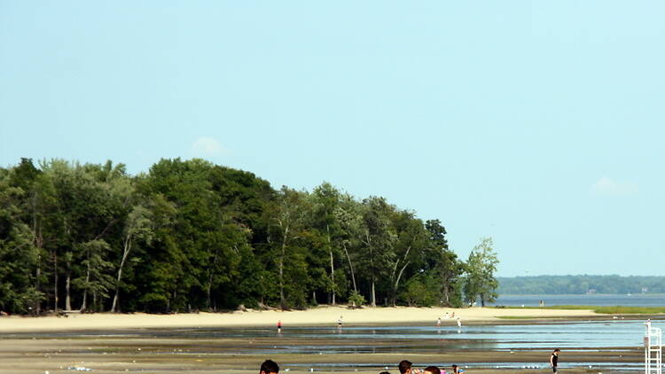 Sunbathing Voyeur Nudist Beach - Where to find the secret nude beach just outside of Montreal