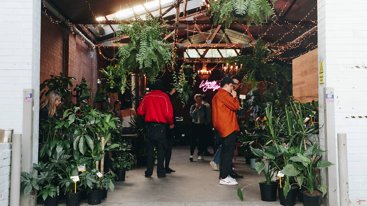 People wandering around garage filled with plants