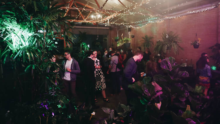 People at a plant disco