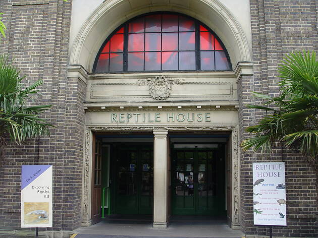 Reptile House at ZSL London Zoo Reptile House at ZSL London Zoo