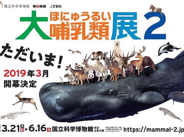 大哺乳類展 大哺乳類展