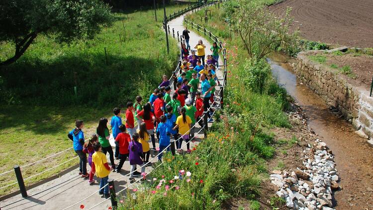 Parque Aventura e Trilho Ecológico da Lipor