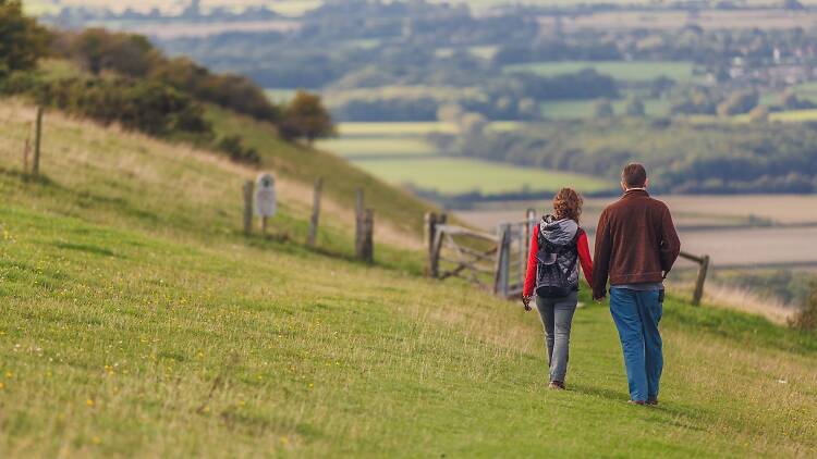 Hike the South Downs Way