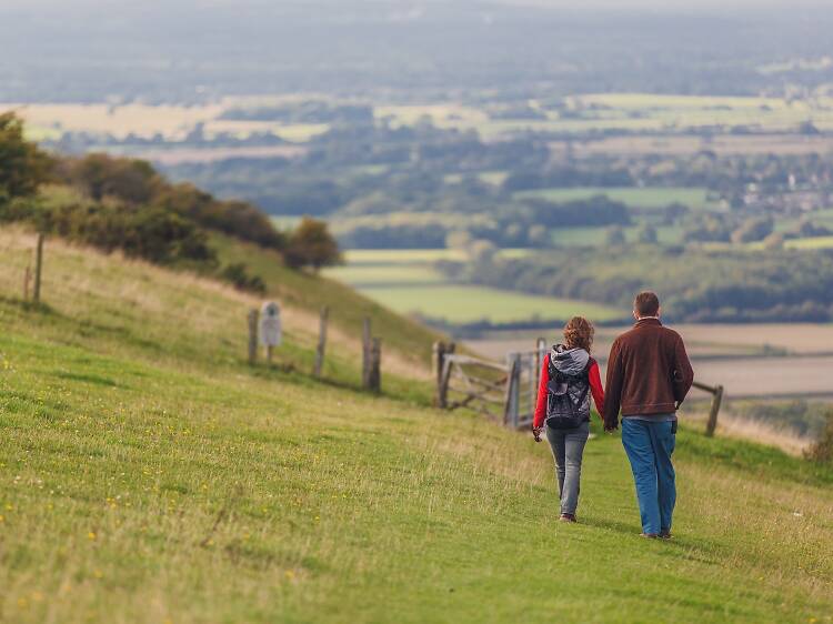 Hike the South Downs Way