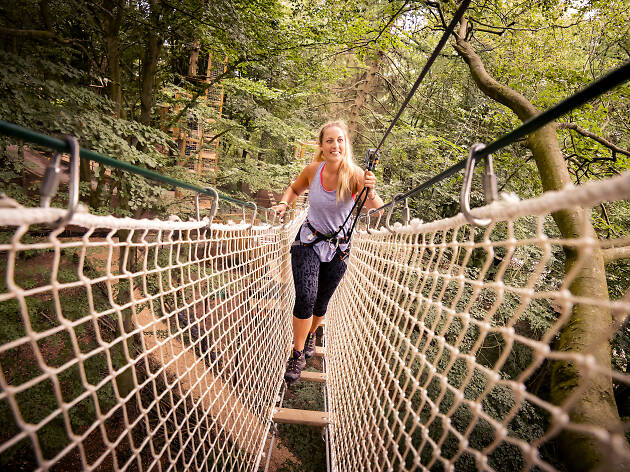 Go Ape Go Ape