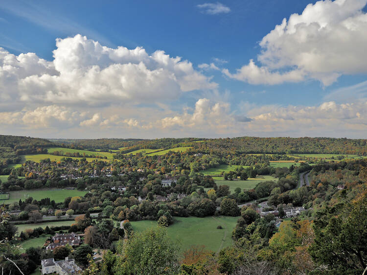 Cycle the Box Hill Olympic Route