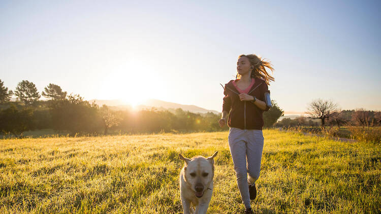 Exercising with dogs