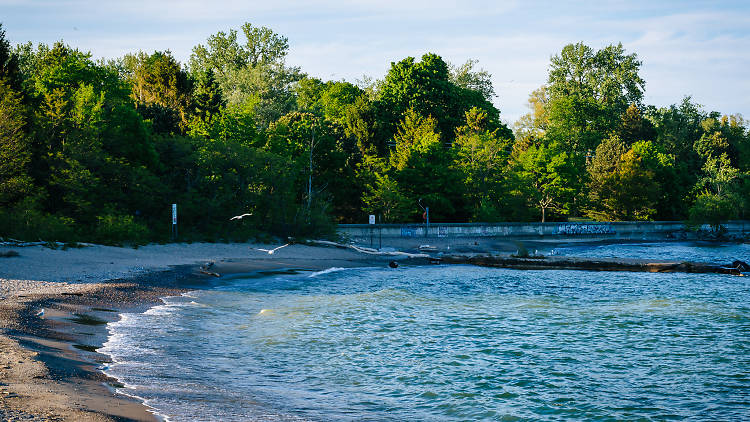 Toronto Islands