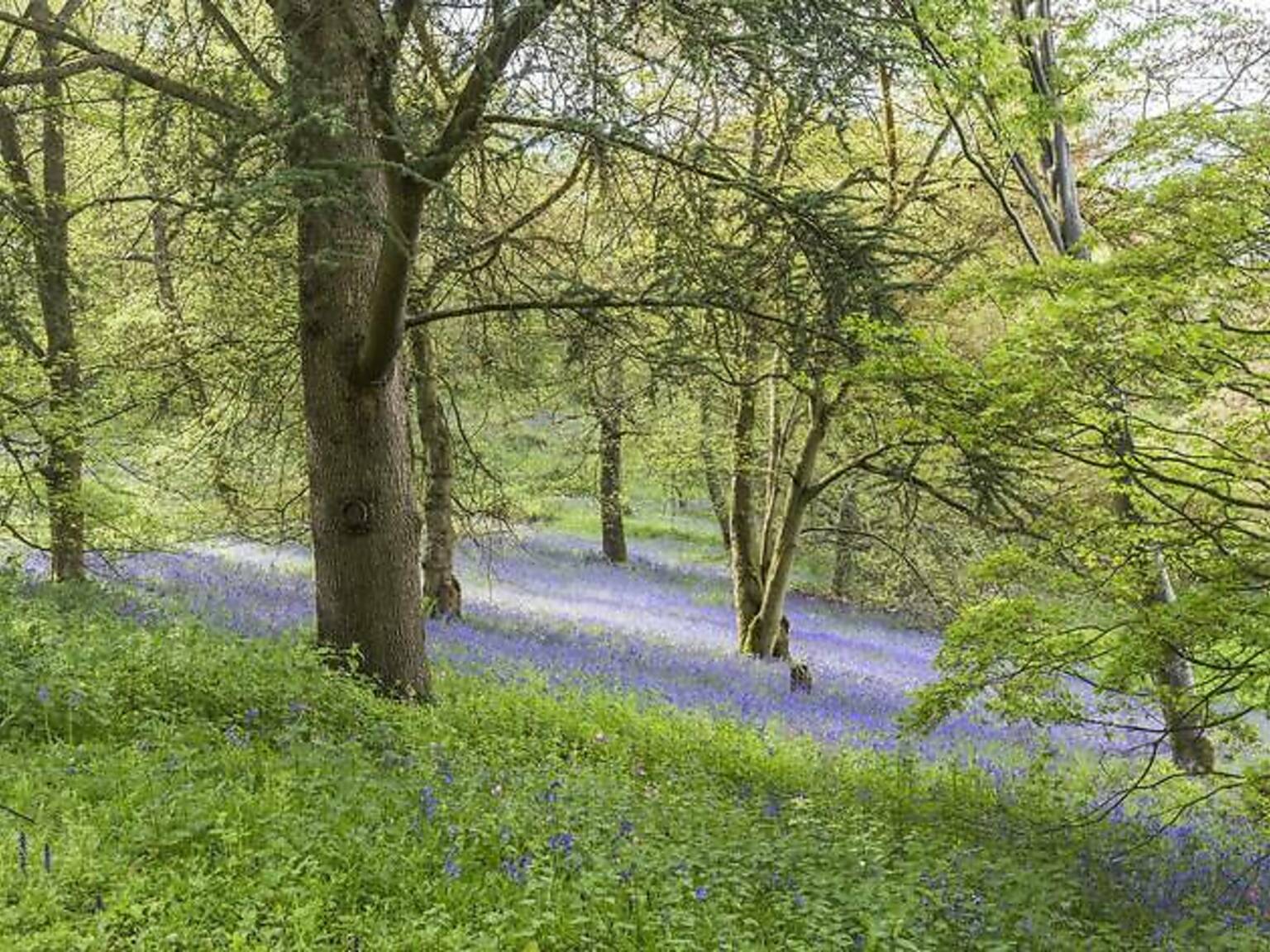 17 Summer Day Trips From London Summer Days Out Near London