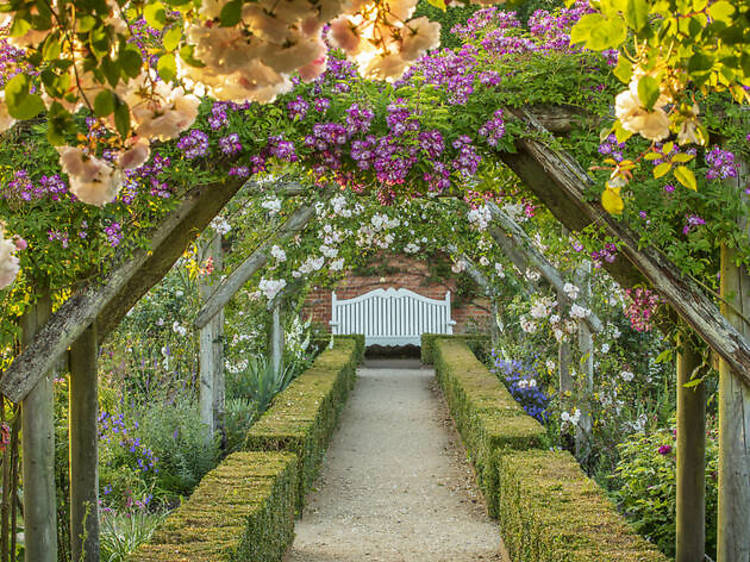 The dreamy rose garden 