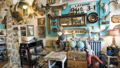 Woolly Mammoth Antiques & Oddities Woolly Mammoth Antiques & Oddities
