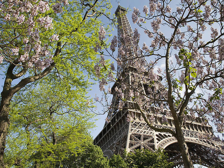 Admira la ciutat des del tercer pis de la Torre Eiffel