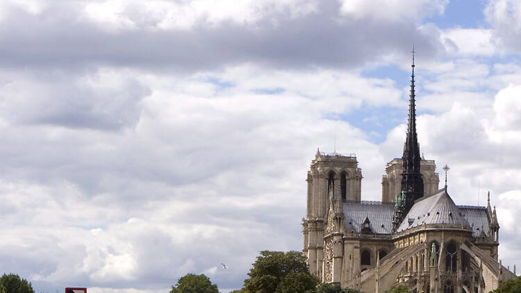 Saluda les gàrgoles de la Cathédrale Notre-Dame de Paris