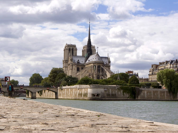 Saluda les gàrgoles de la Cathédrale Notre-Dame de Paris