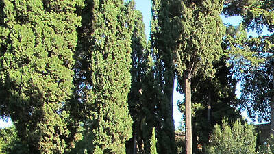 Cimitero Acattolico Cimitero Acattolico