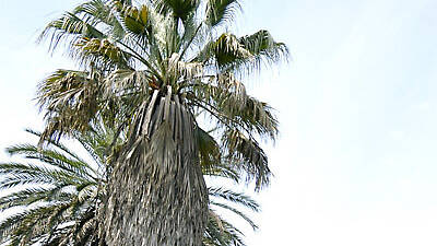 Jardín Botánico Jardín Botánico