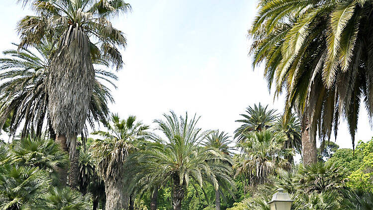 Jardín Botánico