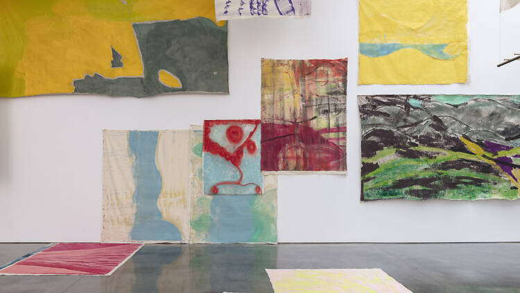 Vivian Suter, installation view