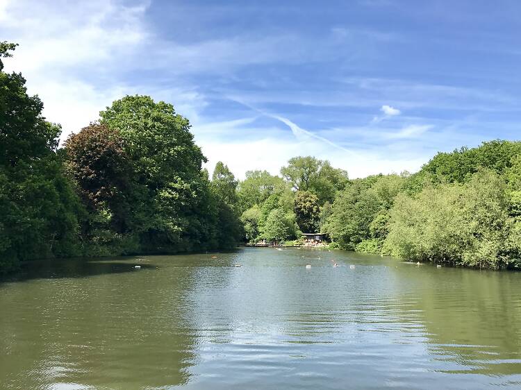 Hampstead Heath Swimming Ponds