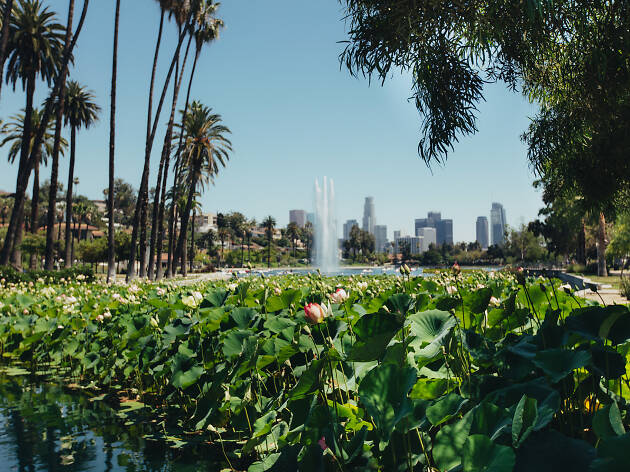 10. Pedalear alrededor del lago Echo Park 10. Pedalear alrededor del lago Echo Park
