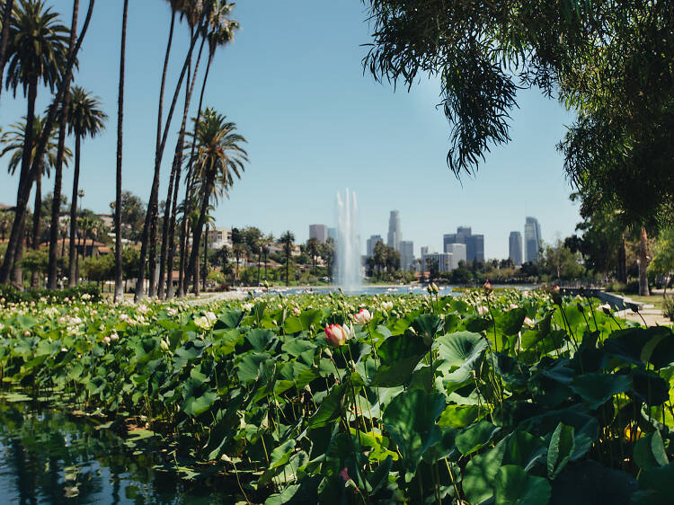 Pedalar al voltant de l'Echo Park