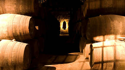 Bodega-Museo Sandeman Bodega-Museo Sandeman