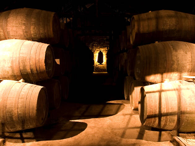 08. Visita la Bodega-Museo Sandeman 08. Visita la Bodega-Museo Sandeman