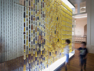 Galería de la Biodiversidad Galería de la Biodiversidad